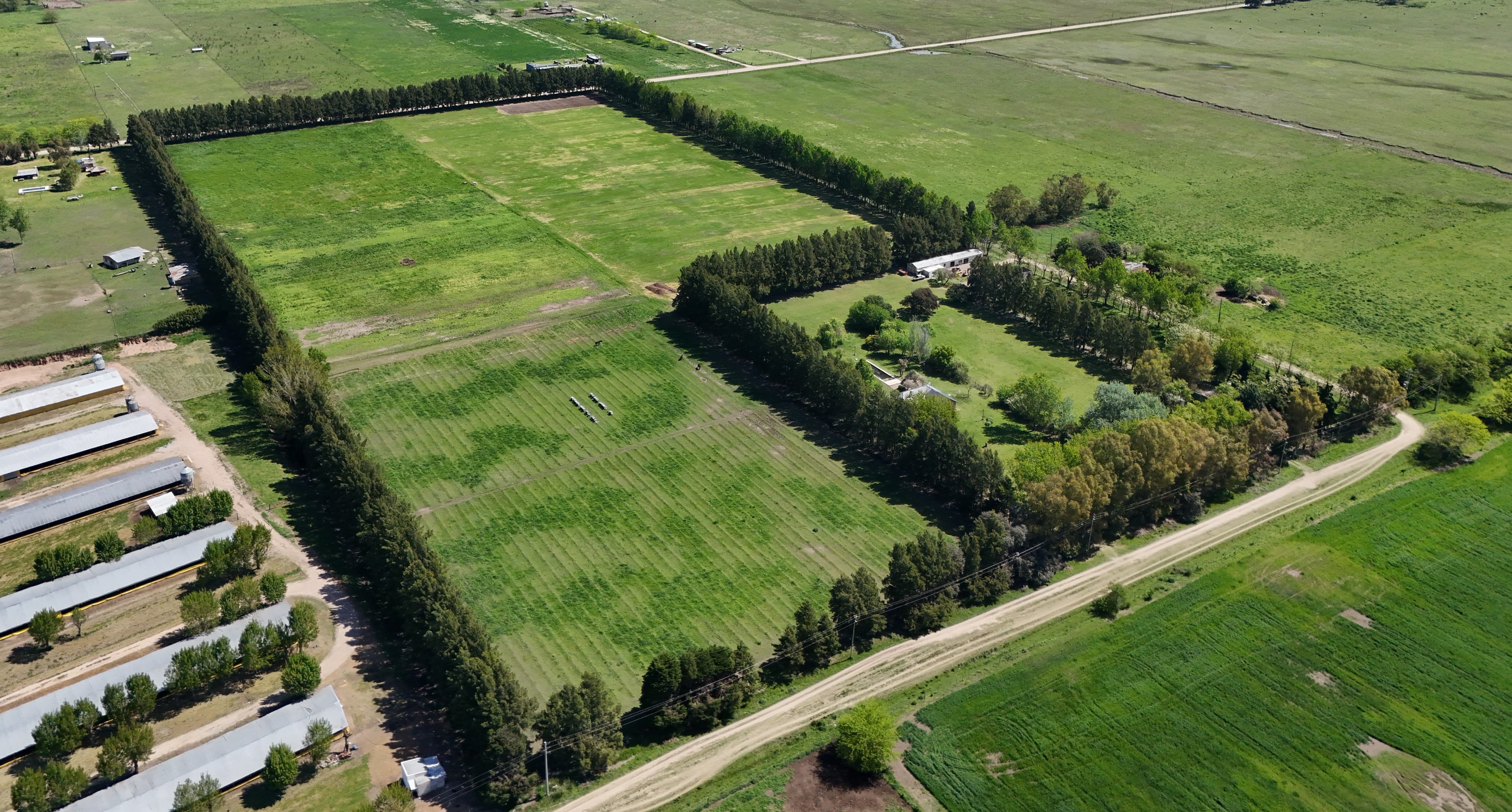 Agricultural field 2